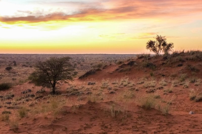 Ботсвана пустыня Калахари