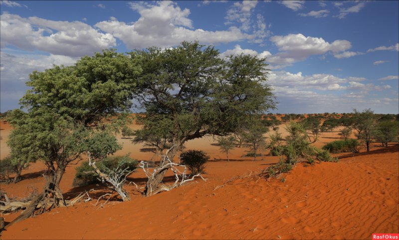 Национальный парк мамили Намибия