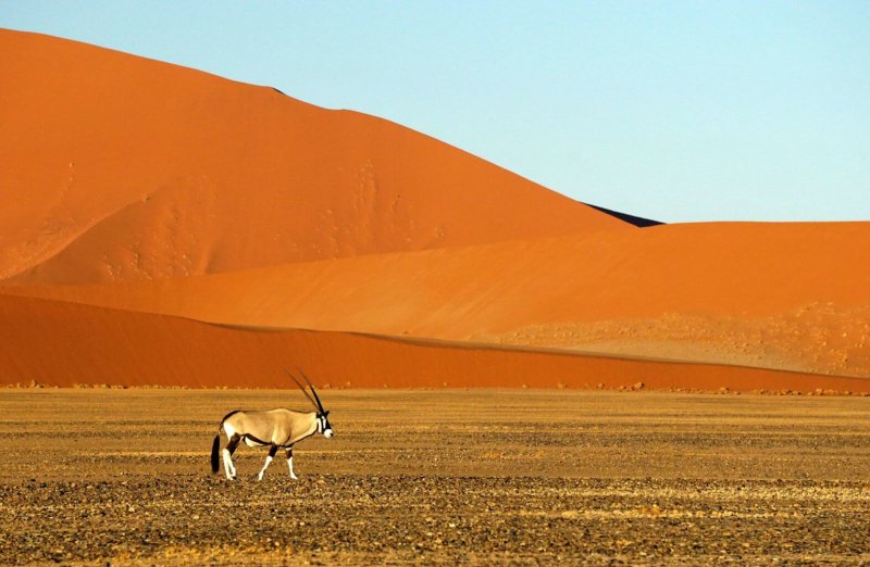 Пустыня сахара Намиб Калахари