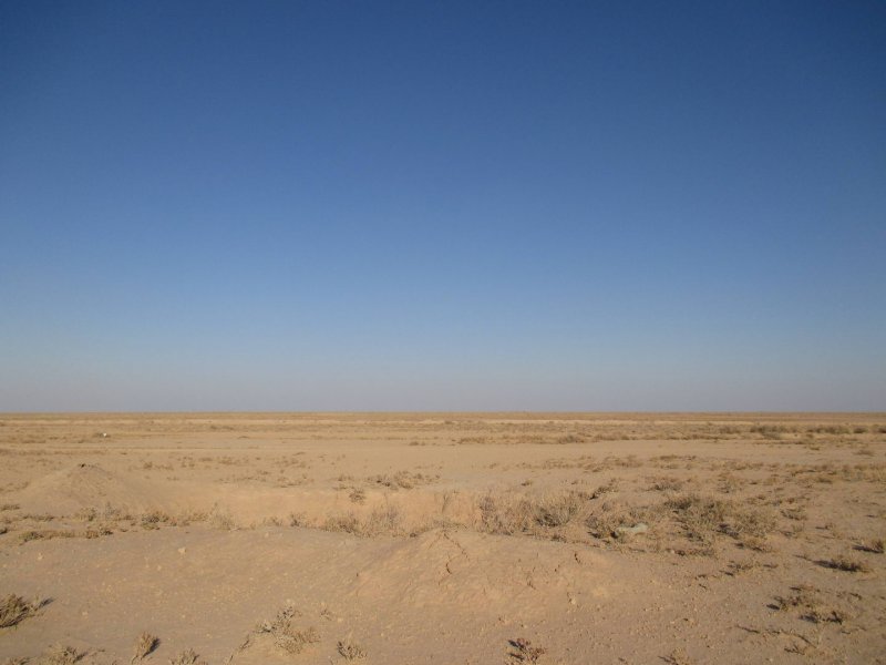 Пустыня Кызылкум