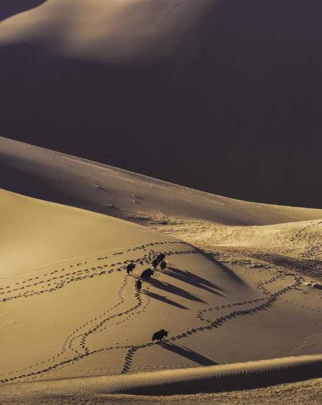 Пустыня Такла-Макан воронка