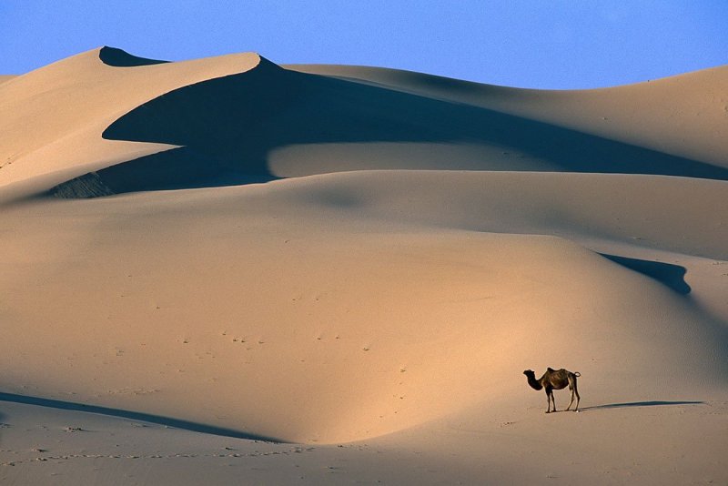 Пустыни центральной Азии