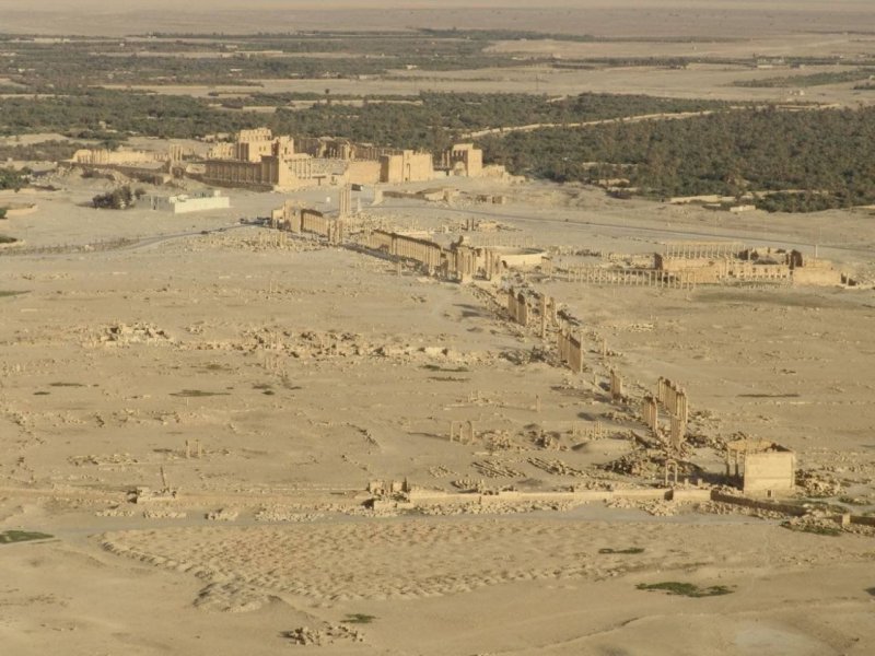 Пустыня Пальмира