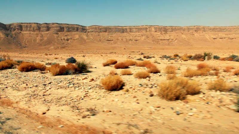 Сирийская пустыня панорамные снимки