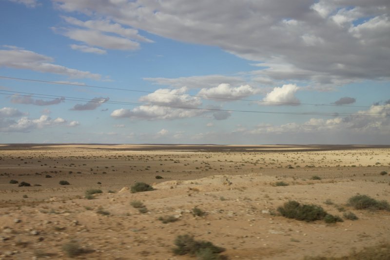 Пустыня Пальмира война