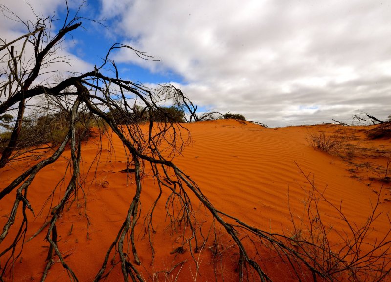Большая Песчаная пустыня, большая пустыня Виктория Австралии