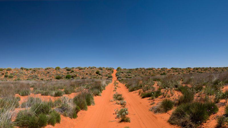 Пустыня Симпсона в Австралии