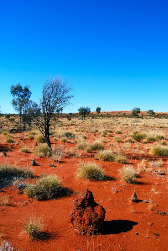 Малая Песчаная пустыня в Австралии