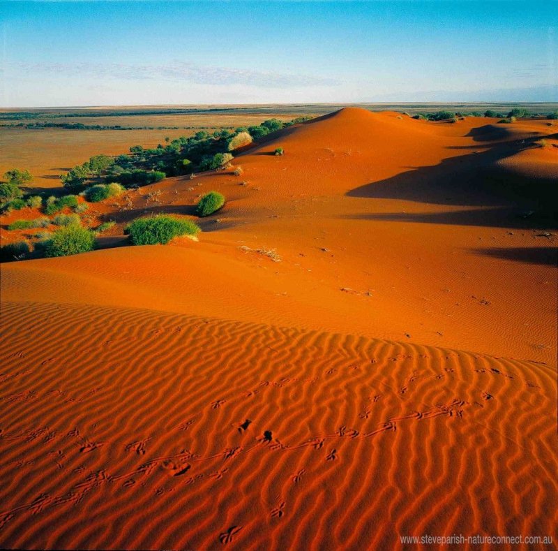 Пустыня Виктория в Австралии