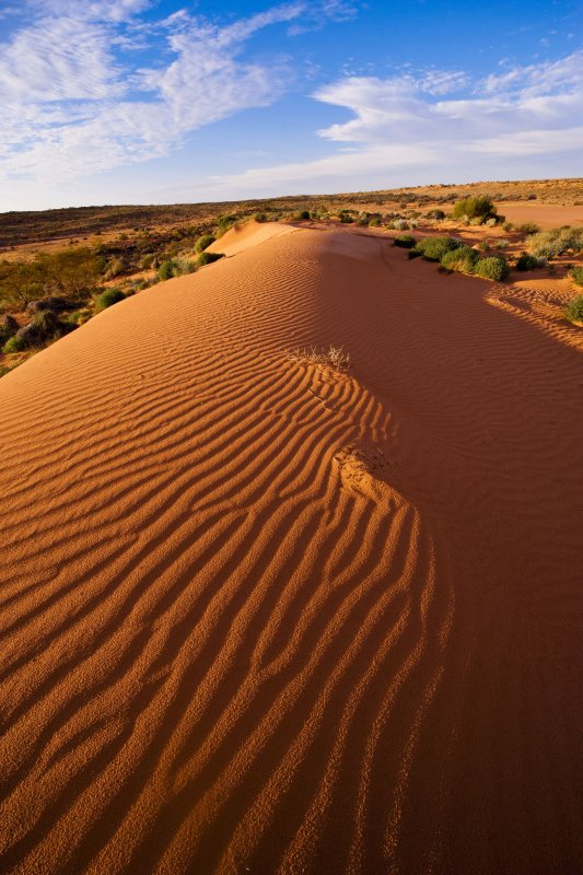 Большая Песчаная пустыня большая пустыня Виктория