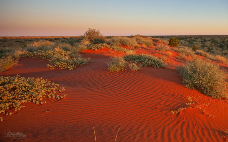 Пустыни и полупустыни Австралии почвы