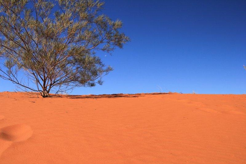 Пустыня с красным песком