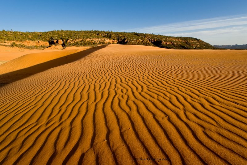 Great Sandy Desert Австралия
