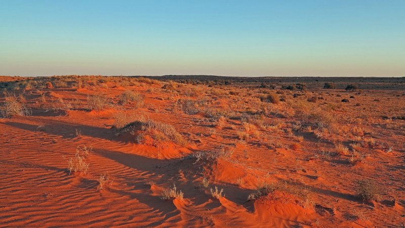 Саванны и пустыни Австралии