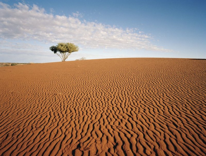 Почвы пустыни Австралии