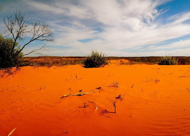 Песчано-солончаковая пустыня Виктория Австралия