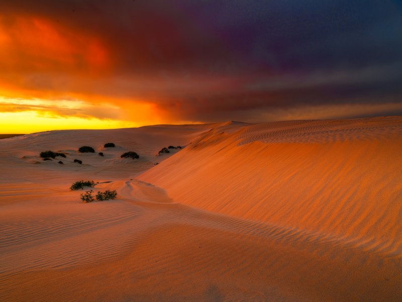 Песчаные пустыни Австралии