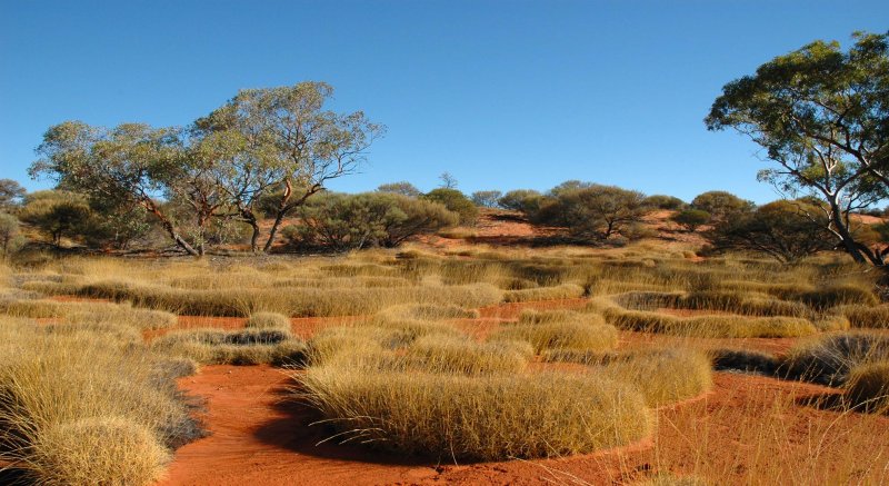 Субтропические пустыни Австралии