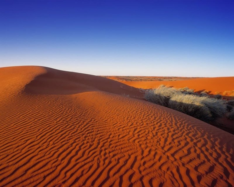 Пустыня Гибсона в Австралии