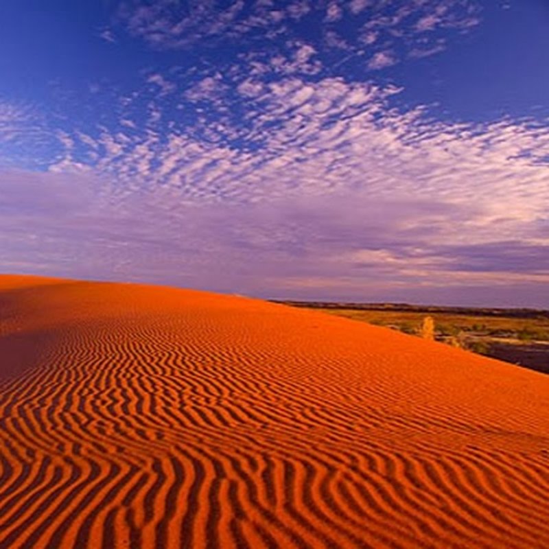 Большая Песчаная пустыня, большая пустыня Виктория Австралии