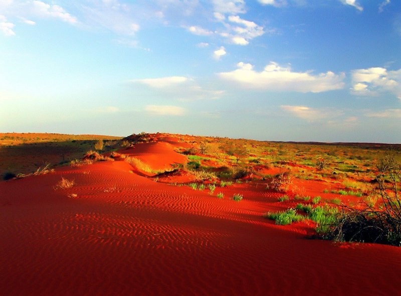 Песчаная пустыня в Австралии
