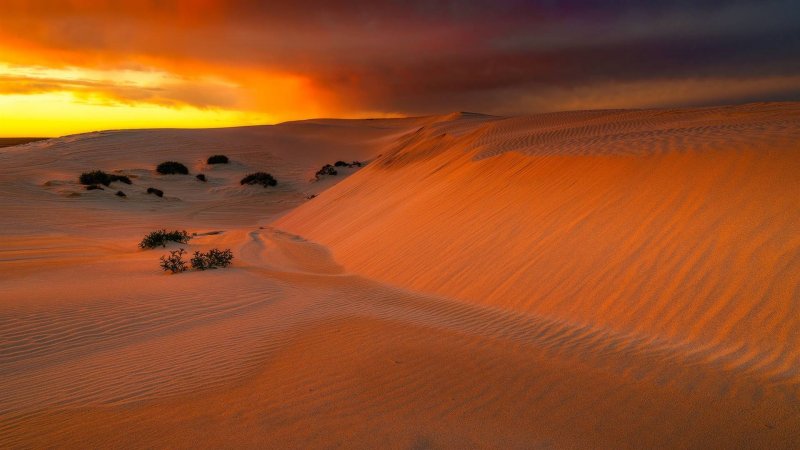 Большая Песчаная пустыня в Австралии