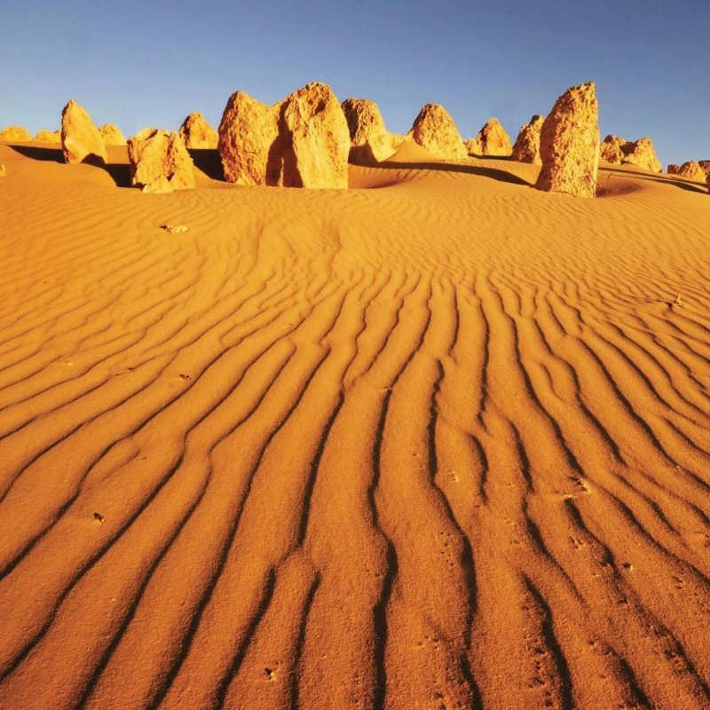 Пустыни Австралии