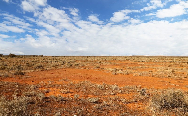 Малая Песчаная пустыня в Австралии