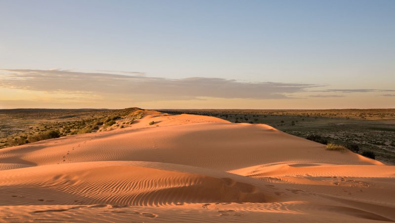 Полупустыни Австралии