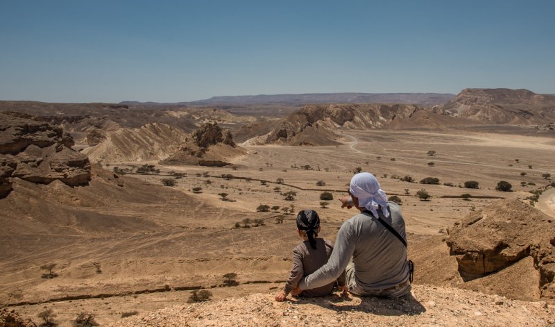 Песчаная пустыня Негев Израиль