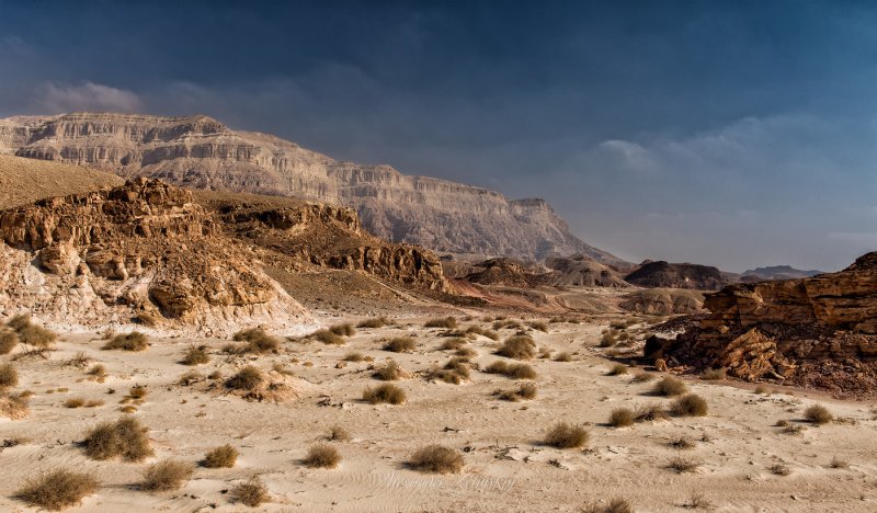 Рассвет в пустыне Негев Israel
