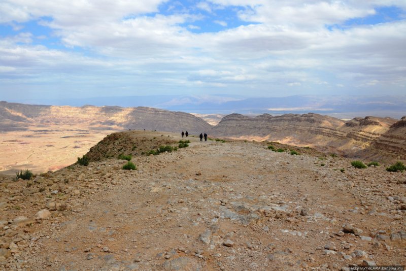 Природа пустыни Негев