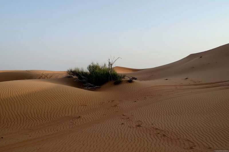 Пустыня руб Аль Хали Дубай
