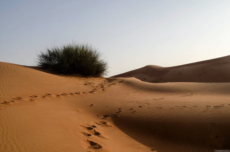 Абу Даби пустыня