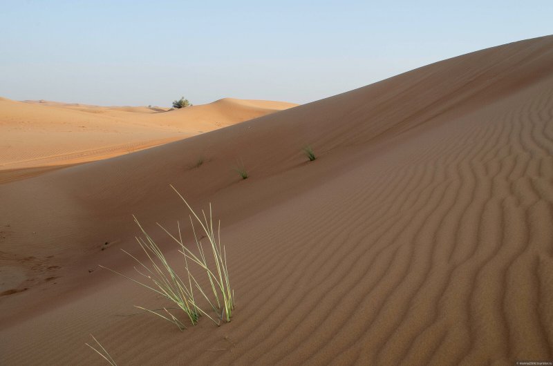 Руб-Эль-Хали пустыня на карте