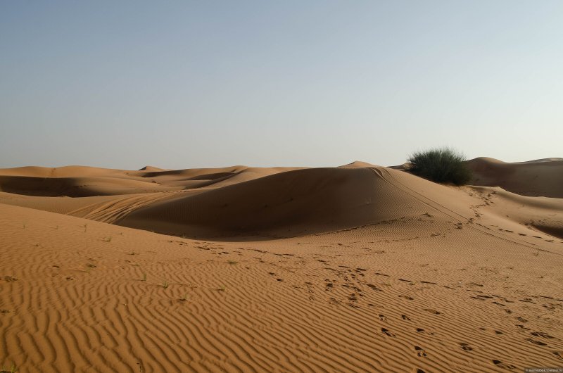 Пустыни Салала руб Аль Хали