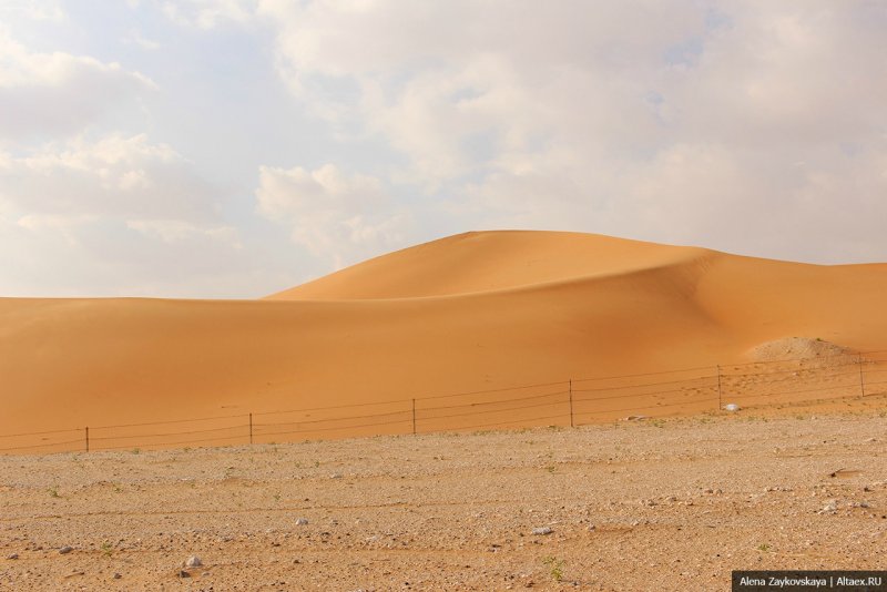 Красная пустыня Аравийская