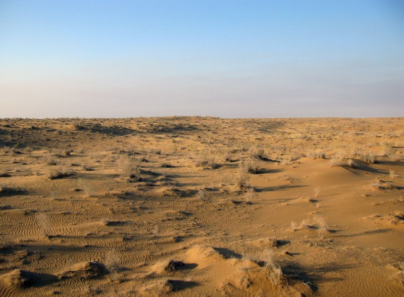 Пески Каракум в Казахстане