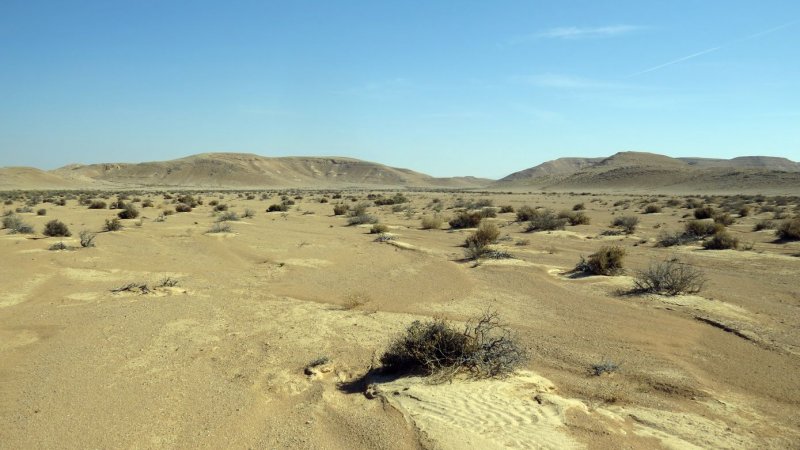 Почва в пустыне