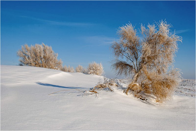 Голодная степь в Казахстане