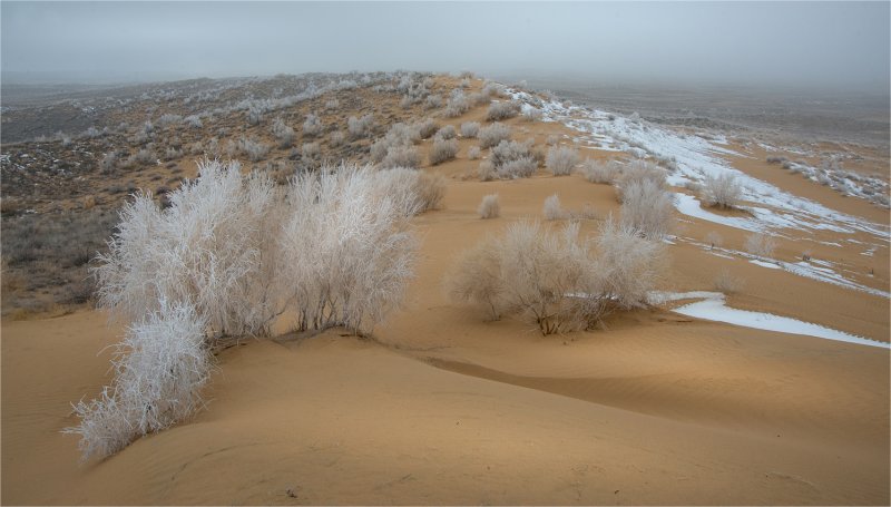 Казахстан пустыня Мойынкум