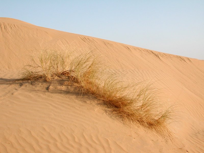 Колодцы в пустыне Каракумы Туркменистан