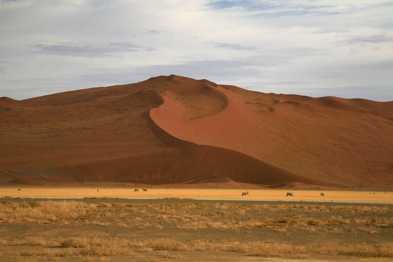 Казахстан природа пустыня