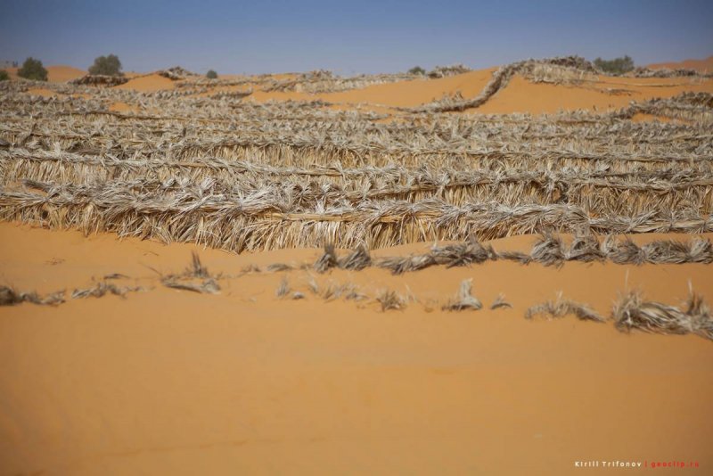 Гамады – каменистые пустыни