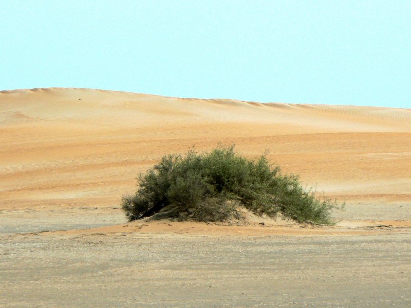 Дюны пустыни Атакамы