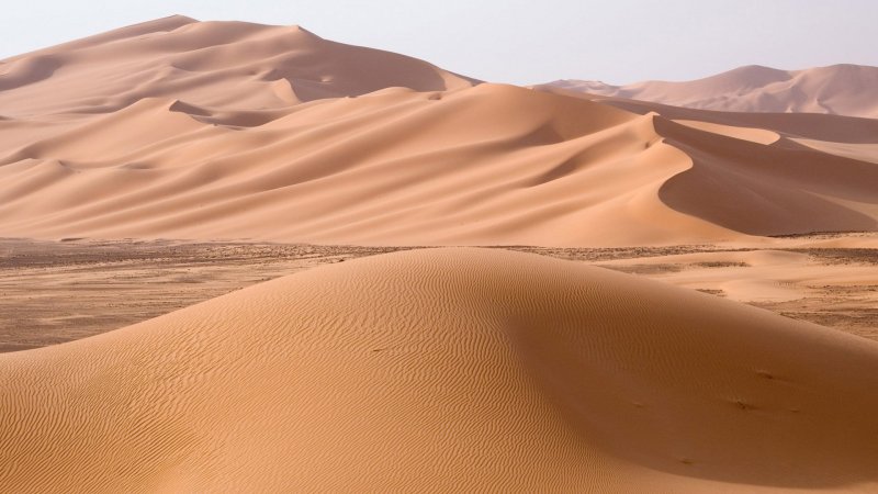 Гамады пустыня