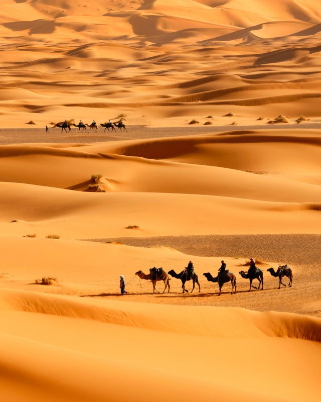 Зона пустынь Алжира