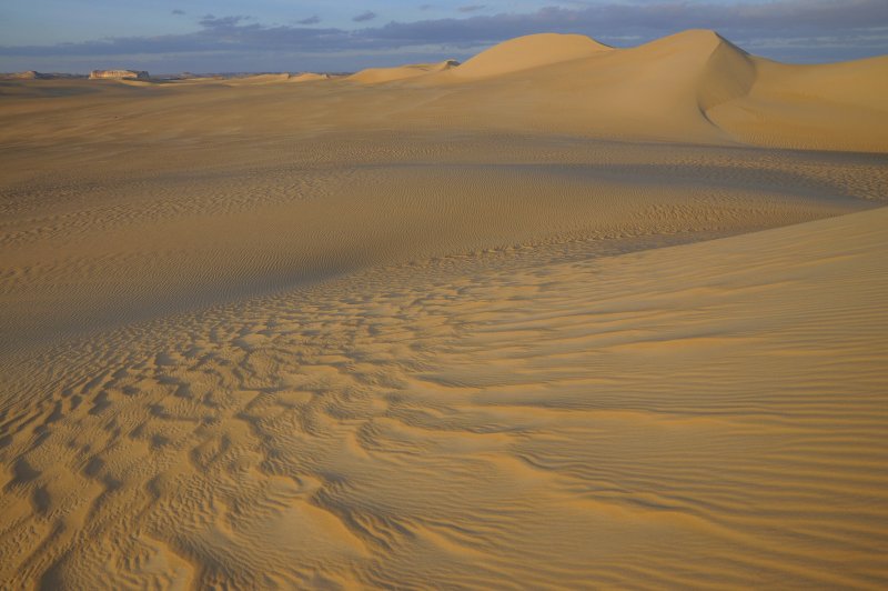 Оазис в ливийской пустыне