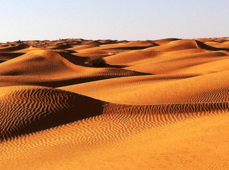 Тропические пустыни Ливийская