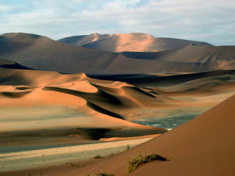 Пустыни: Ливийская, Намиб.